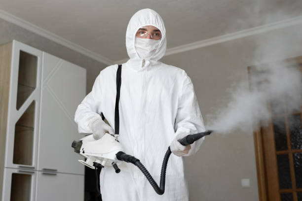 Why You Should Choose Our Mold Remediation Services in Lewisburg, OH